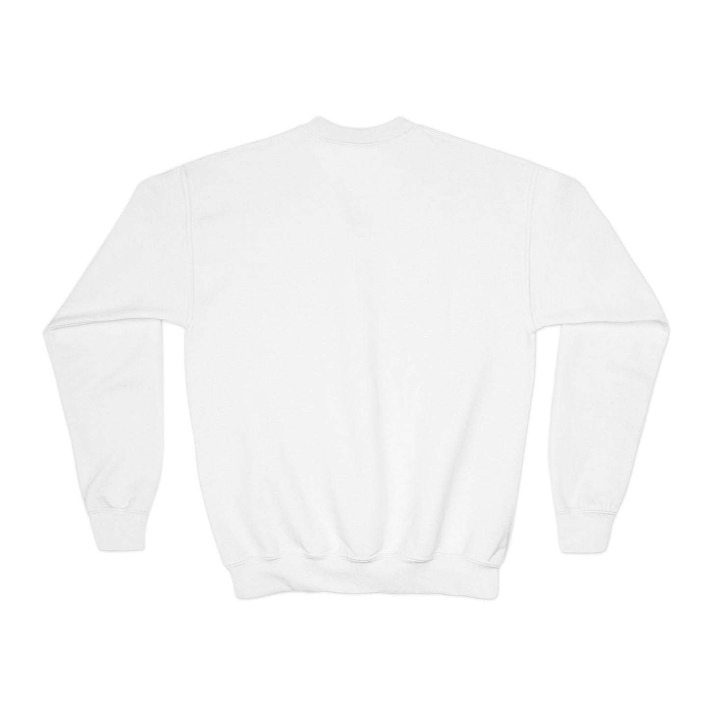 Sky Hues Youth Crewneck Sweatshirt